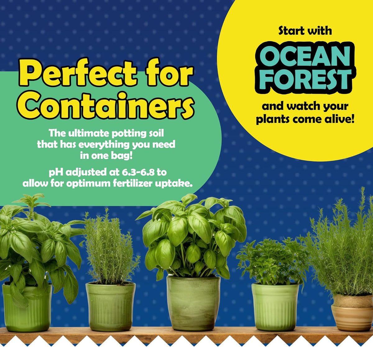 12qt Garden Potting Soil Blend E189809