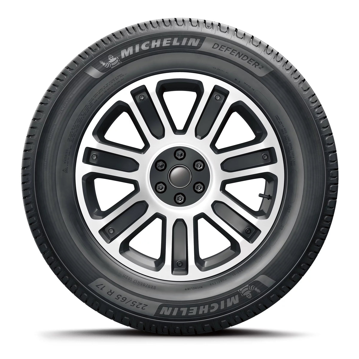 All-Season 235/55R18 100H Tire G5909