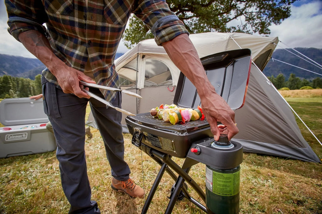 Portable 1-Burner Propane Grill Q1932