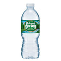 Spring Water - Pack of 24 N591
