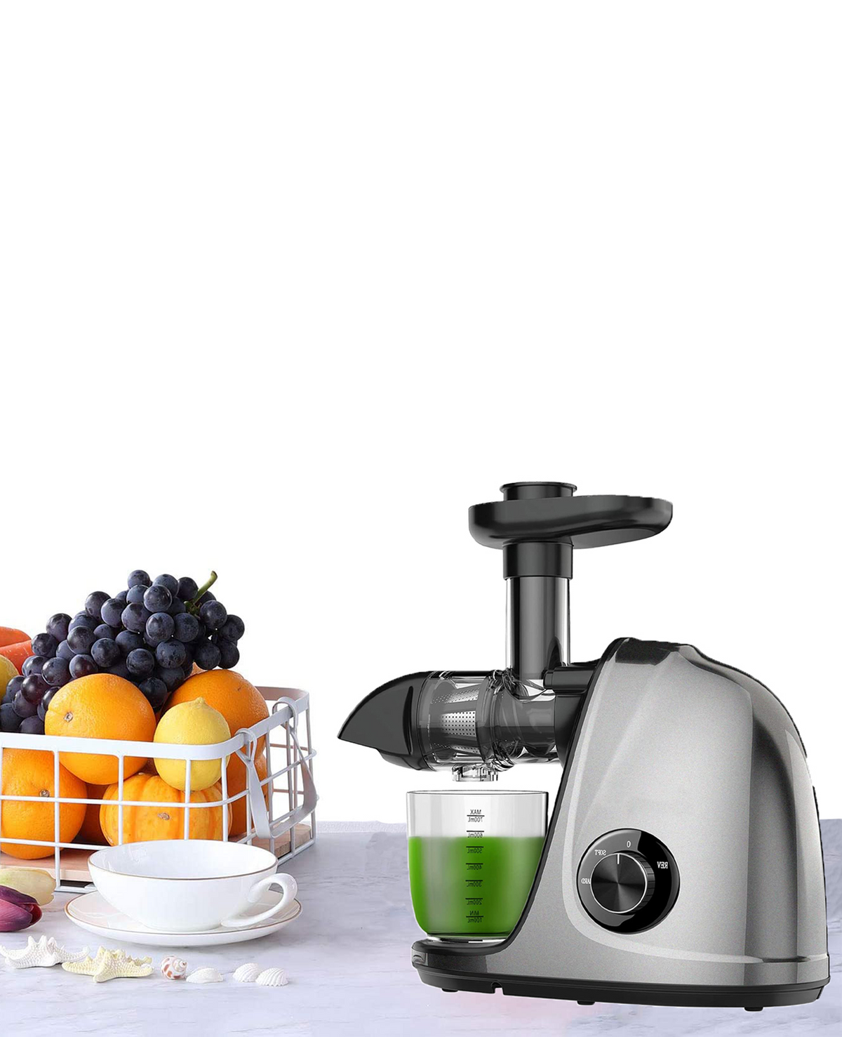 Cold Press Slow Juicer with 2-Speed Modes (Grey) R38363