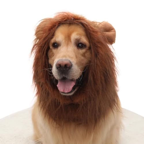 Brown Dog Wig with Ears X692