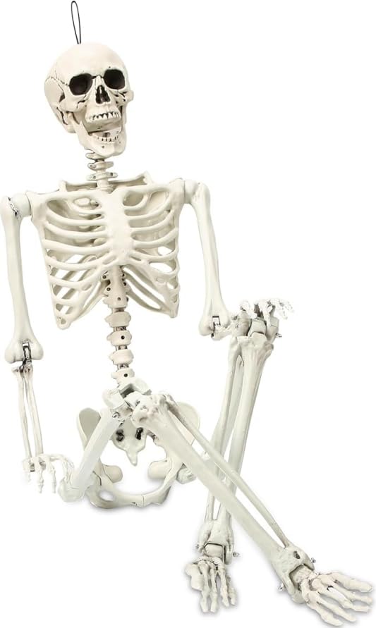 5.4 ft Posable Halloween Skeleton with Movable Joints X2464