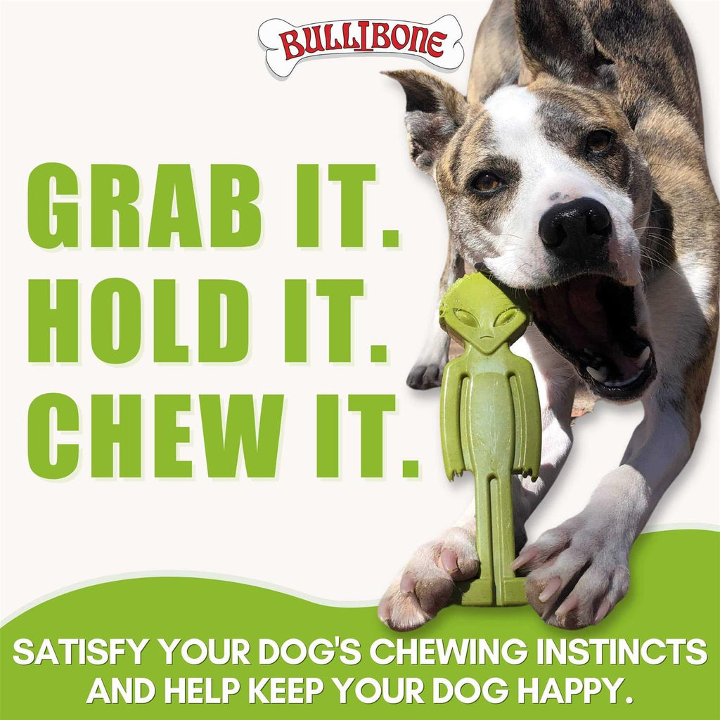 Small Dog Chew Toy with Easy Hold Grips O8916