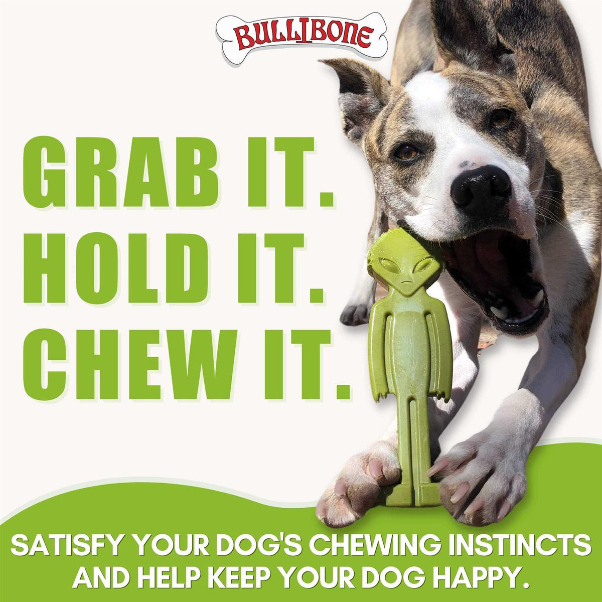 Small Dog Chew Toy with Easy Hold Grips O8916