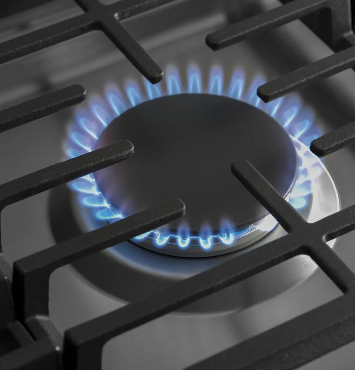 Stainless Steel Gas Cooktop E419753