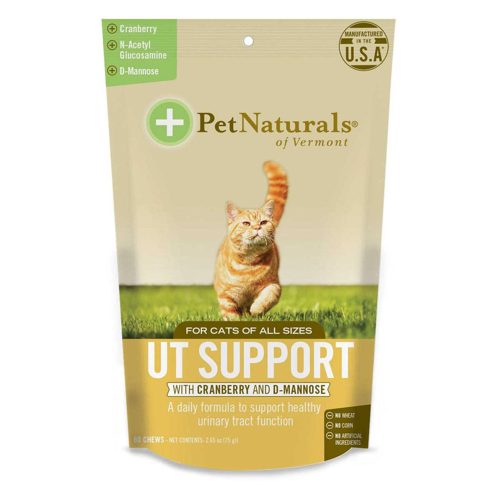 Daily Probiotic for Cats C560