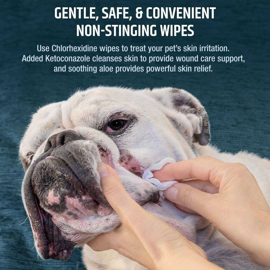 Chlorhexidine Dog & Cat Wipes S234