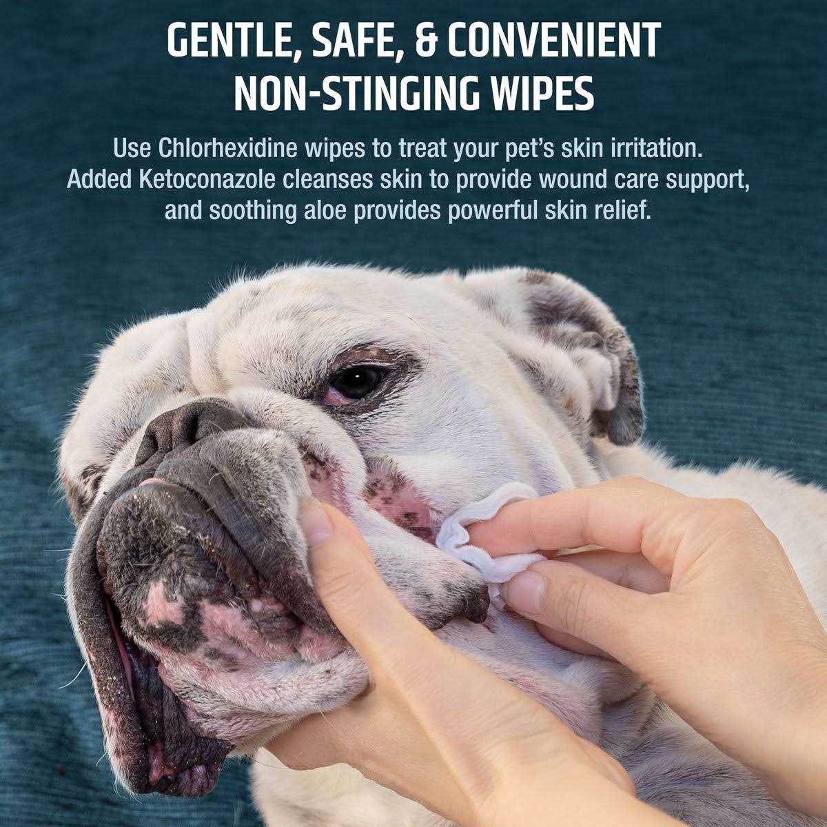 Chlorhexidine Dog & Cat Wipes S234