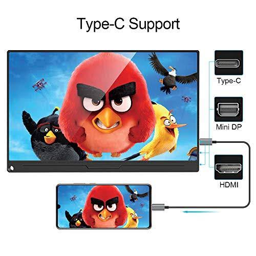 17.3 inch IPS HDR USB C Gaming Monitor N76415