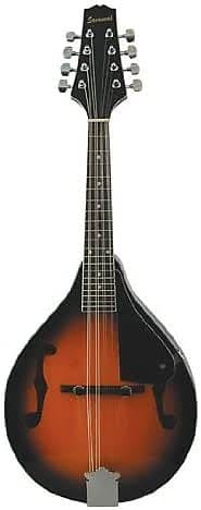 Sunburst Mandolin Y39800