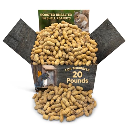 Roasted Unsalted Peanuts in Shell 10LB B931395