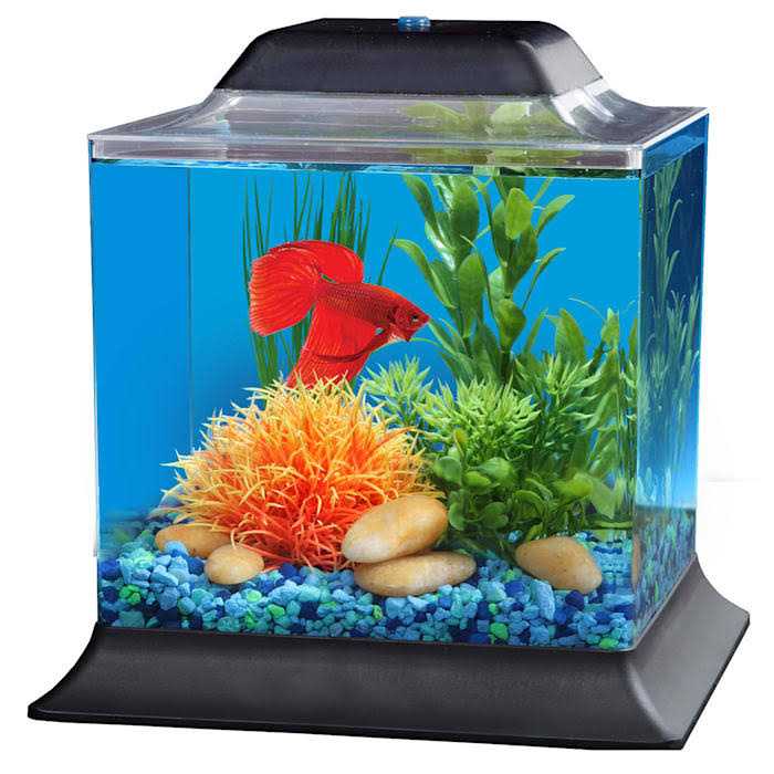 1.4 Gallon Betta Aquarium O726404
