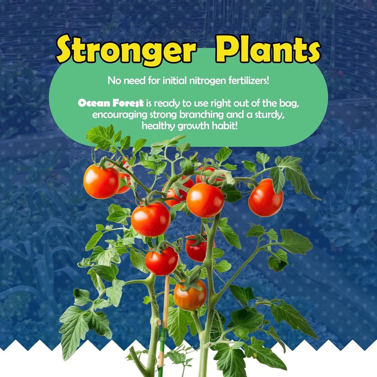12qt Garden Potting Soil Blend E189809