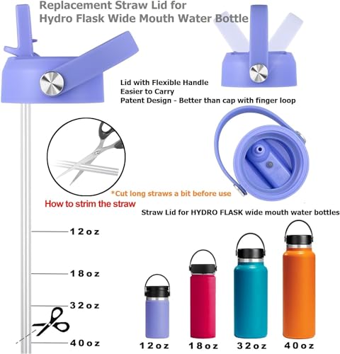 Black 2 Pack Replacement Lid for Wide Mouth Water Bottles Z500
