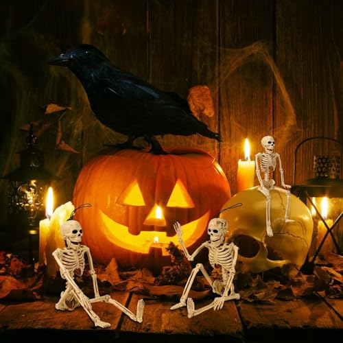 5.4 ft Posable Halloween Skeleton with Movable Joints X2464