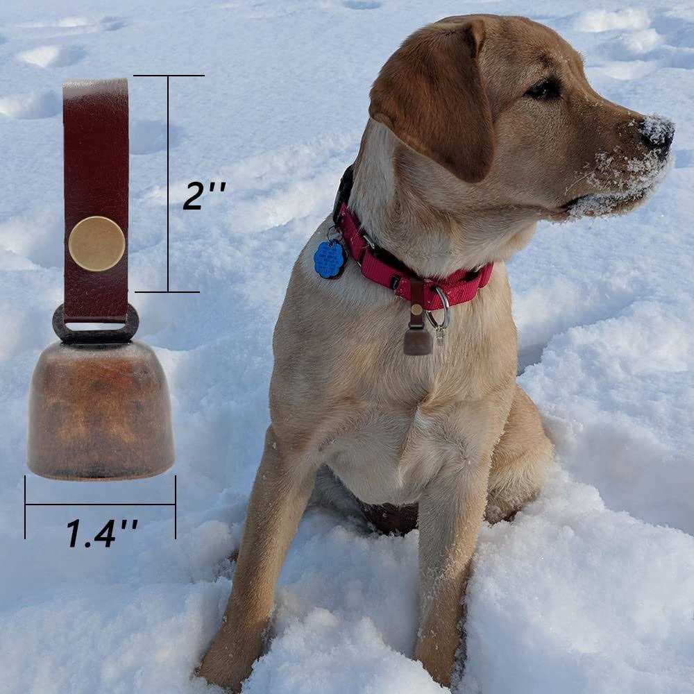 Dog Collar Bell with Leather Strap H291890