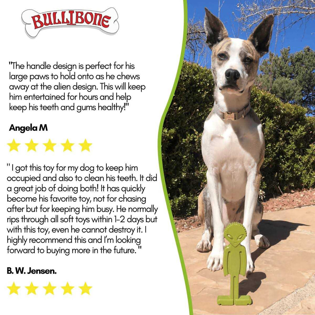 Small Dog Chew Toy with Easy Hold Grips O8916