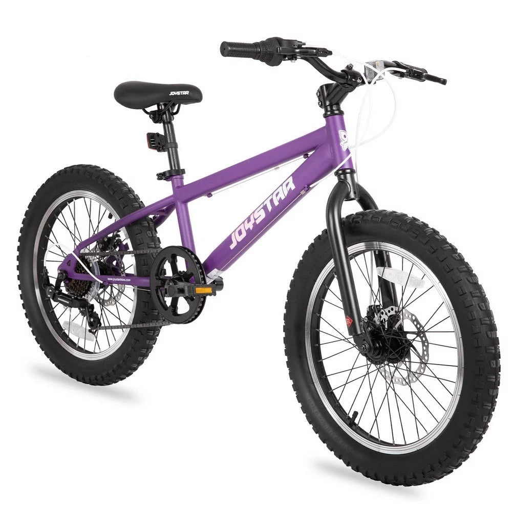 20 Inch 7 Speed Disc Brakes Fat Tire Kids Mountain Bike T48386