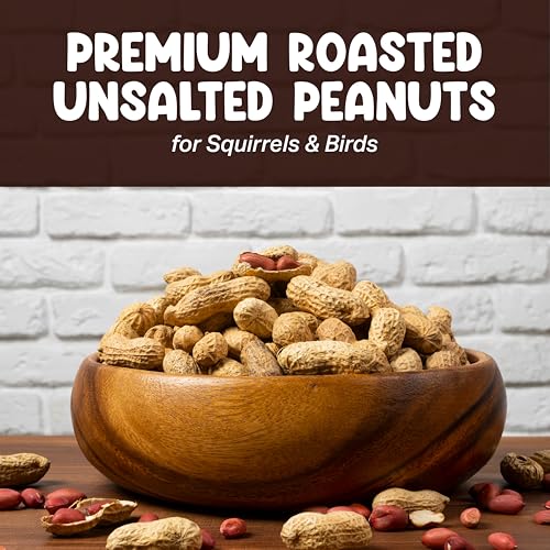 Roasted Unsalted Peanuts in Shell 10LB B931395