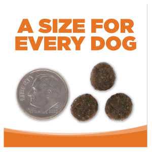 Grain Free Venison Red Lentils Dog Food D626