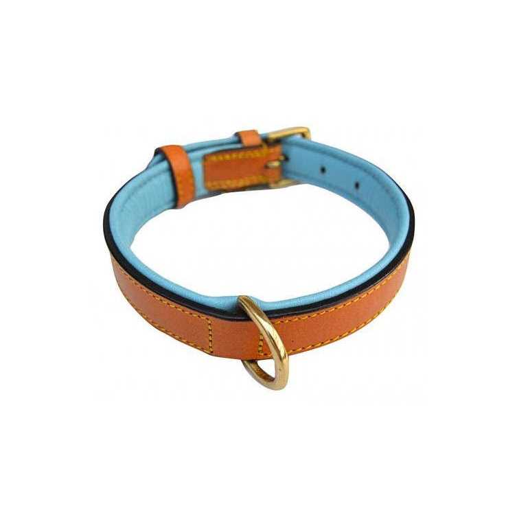 Leather Padded Dog Collar B498473