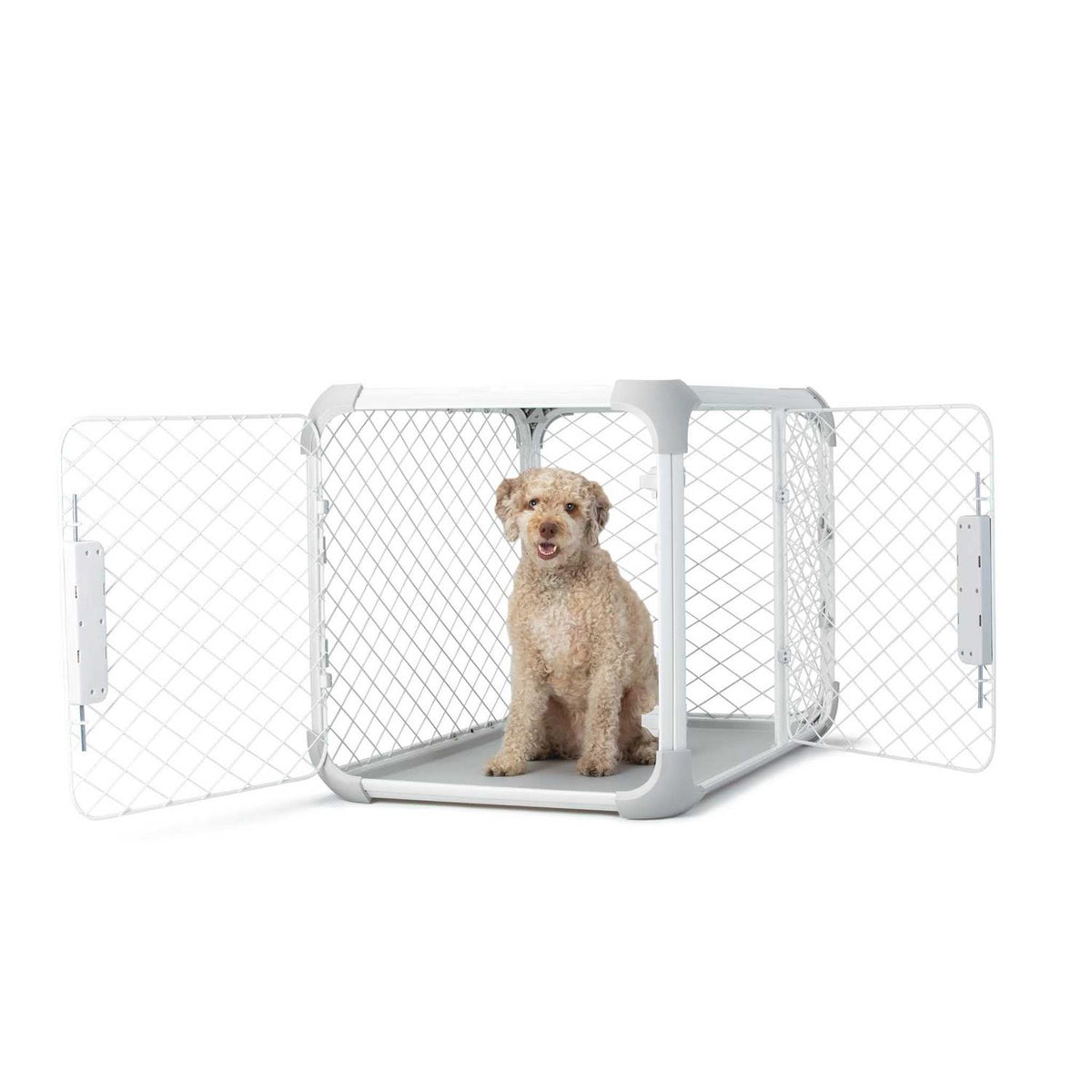 Dog Crate D58139