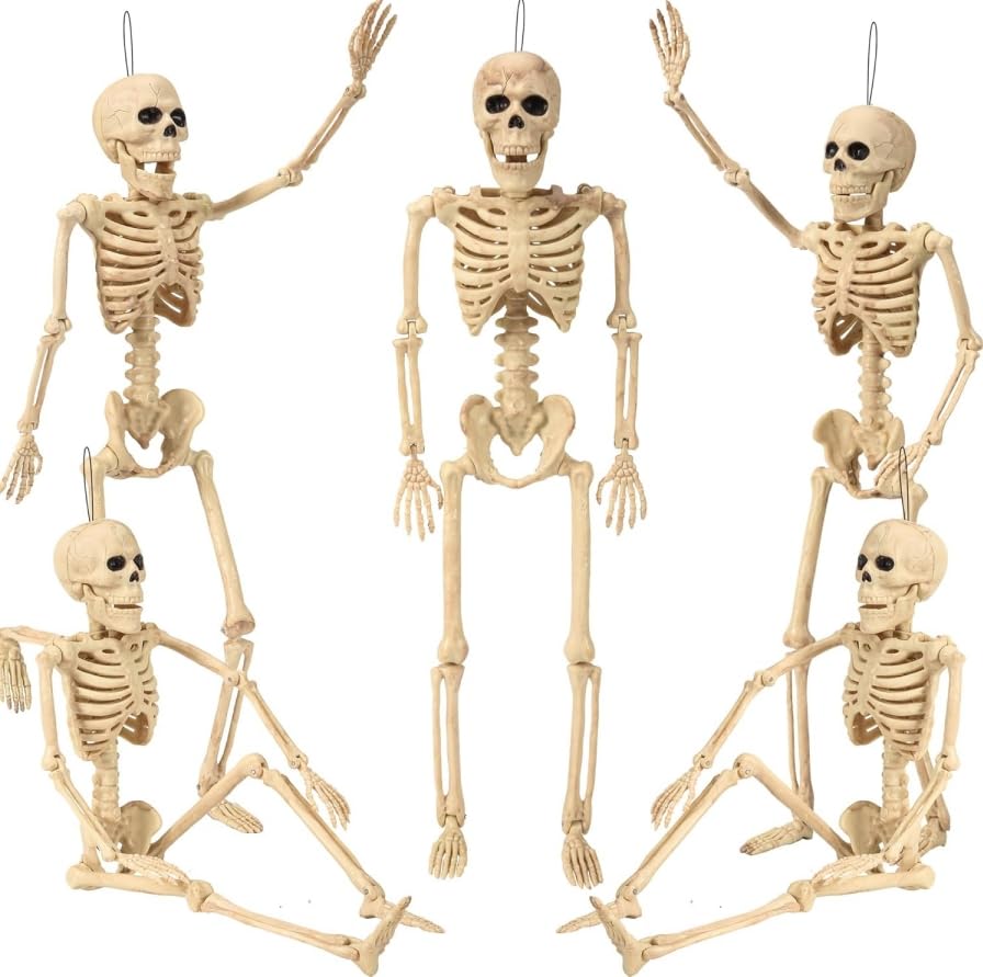 5.4 ft Posable Halloween Skeleton with Movable Joints X2464