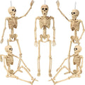 5.4 ft Posable Halloween Skeleton with Movable Joints X2464