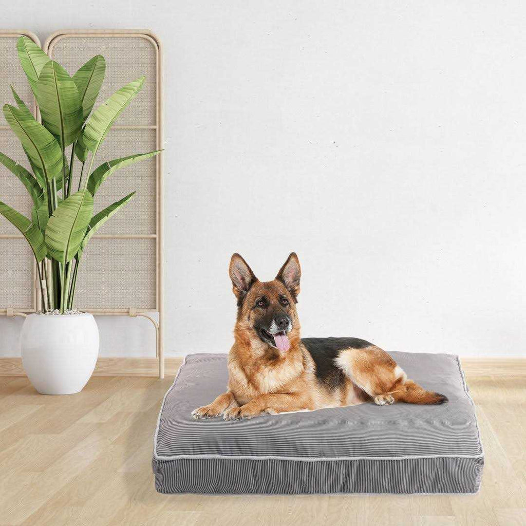 Orthopedic Pet Bed Z887368