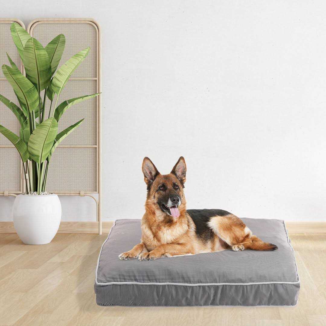 Orthopedic Pet Bed Z887368