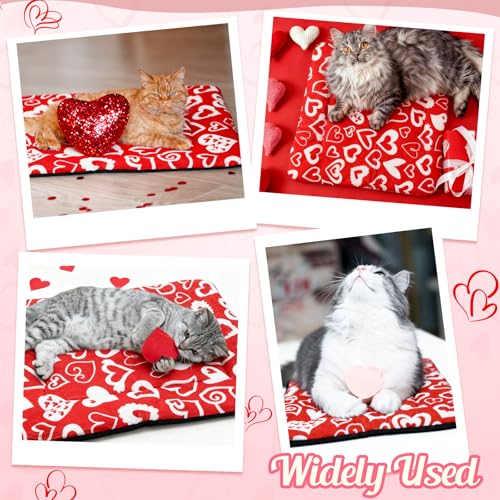 2 Pack Green Self Warming Cat Bed 18 x 24 Inch N719383