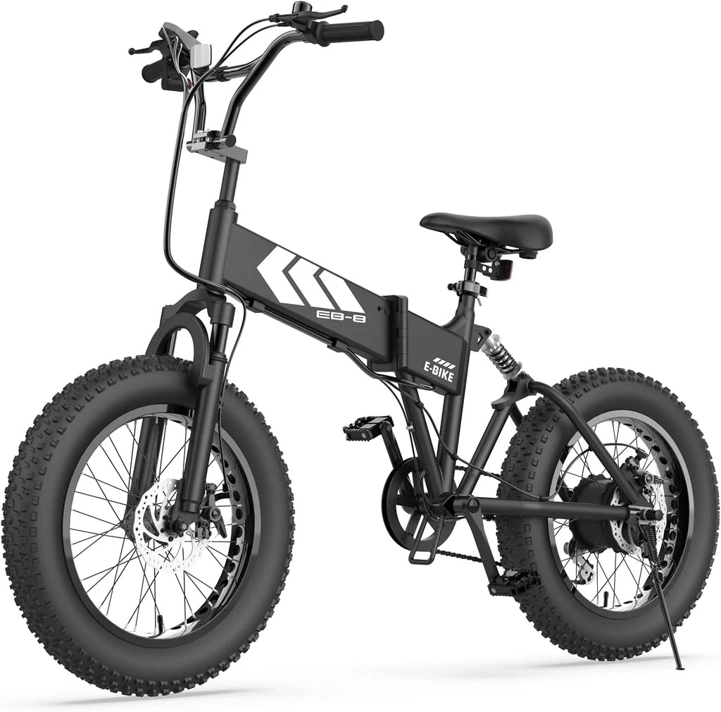Fat Tire Electric Bicycle D20503