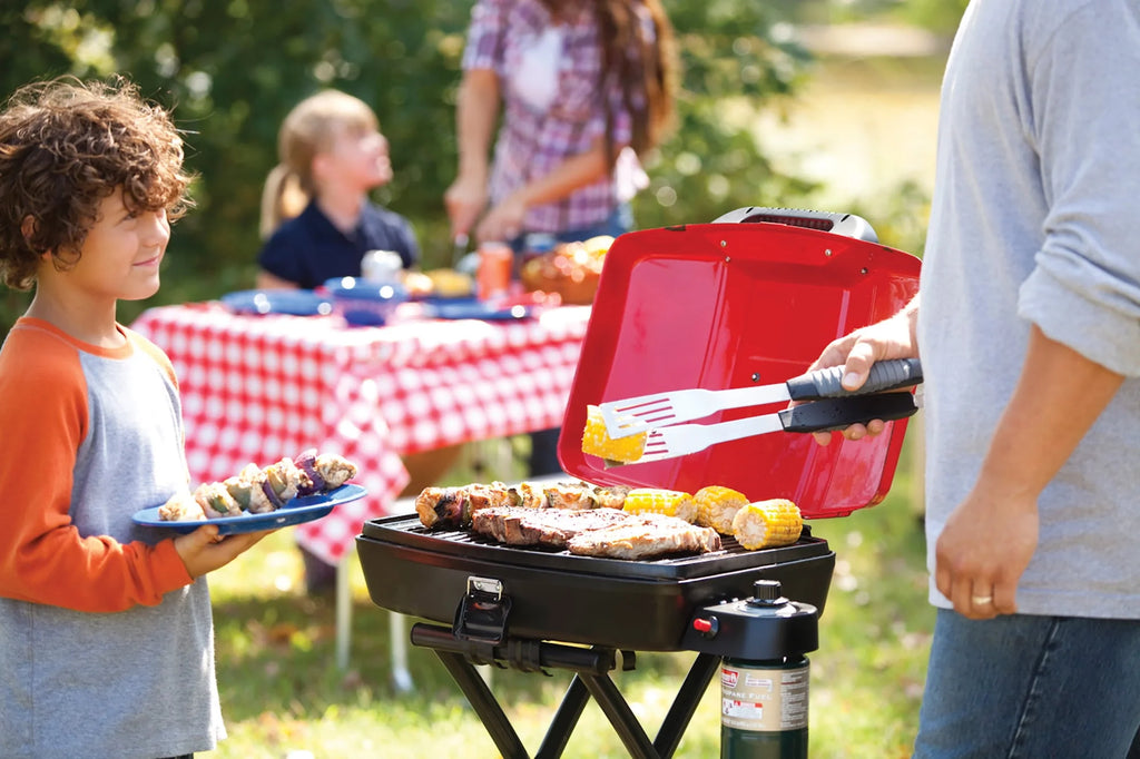 Portable 1-Burner Propane Grill Q1932