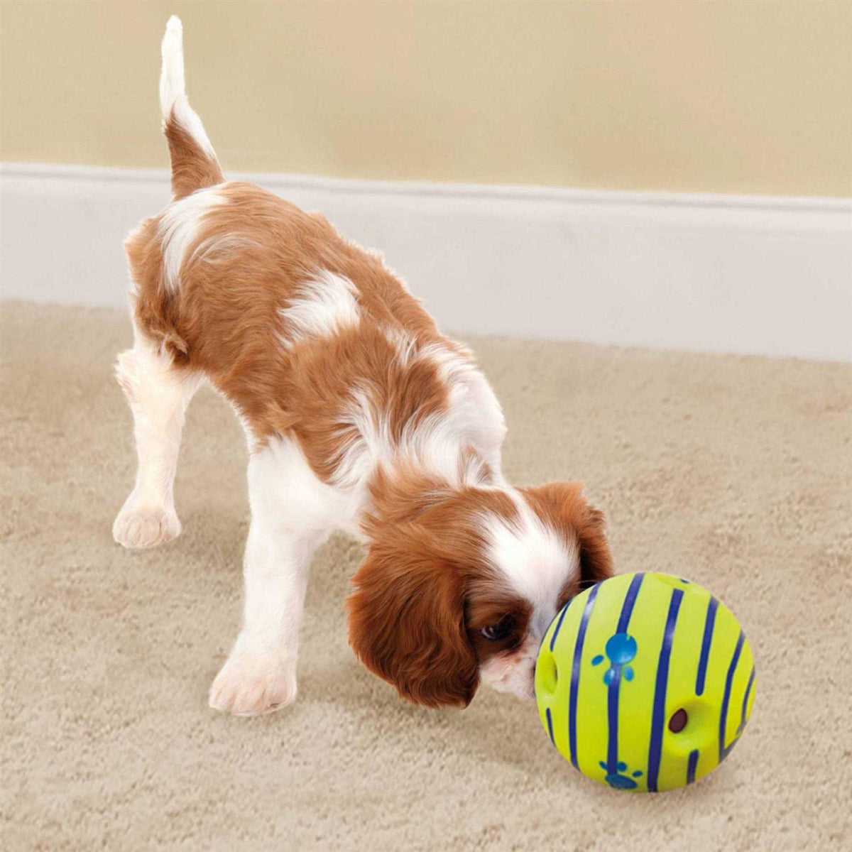 Dog Toy E116