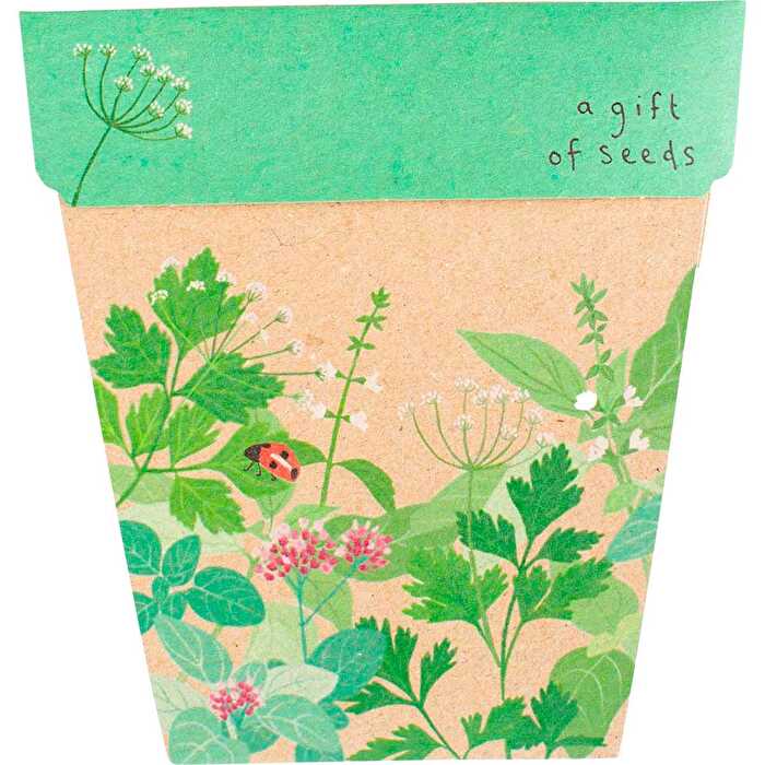 Herbs Seeds Q451