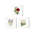3 Piece Canvas Art Set 14 x 14 White Q5736