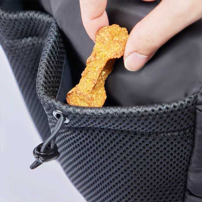 Dog Walking Bag S70829
