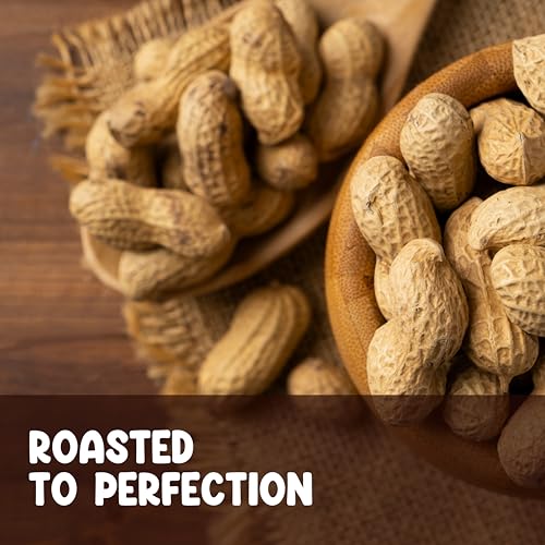 Roasted Unsalted Peanuts in Shell 10LB B931395