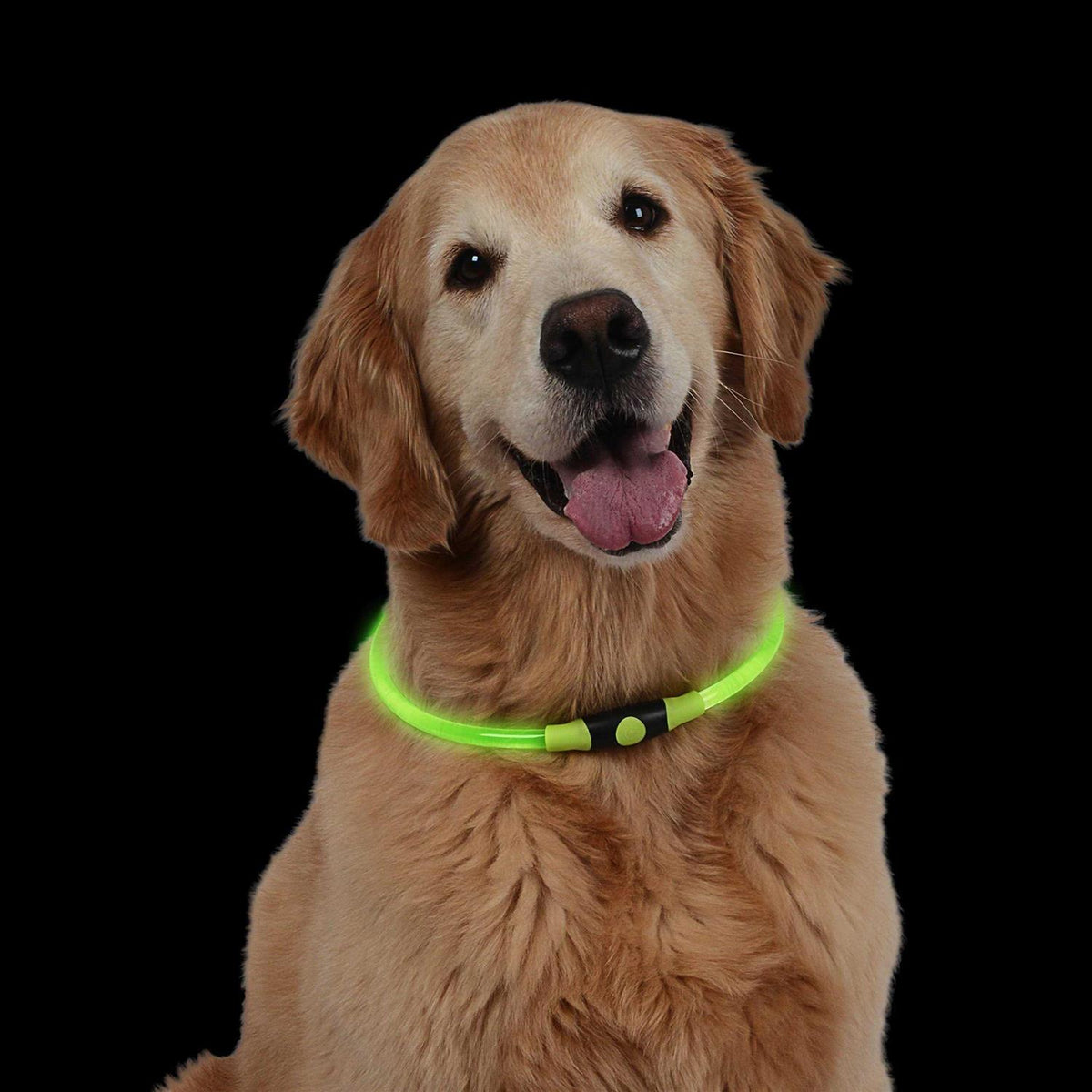 LED Safety Necklace E220