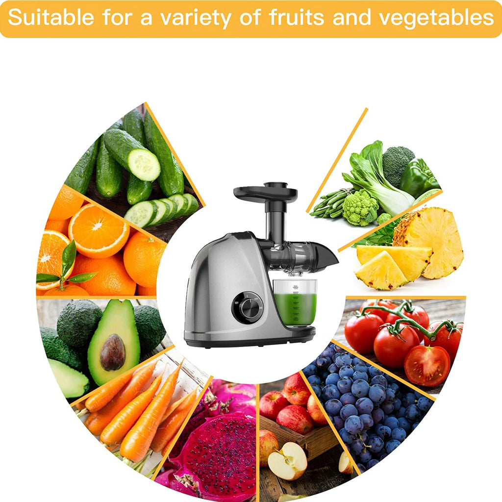Cold Press Slow Juicer with 2-Speed Modes (Grey) R38363