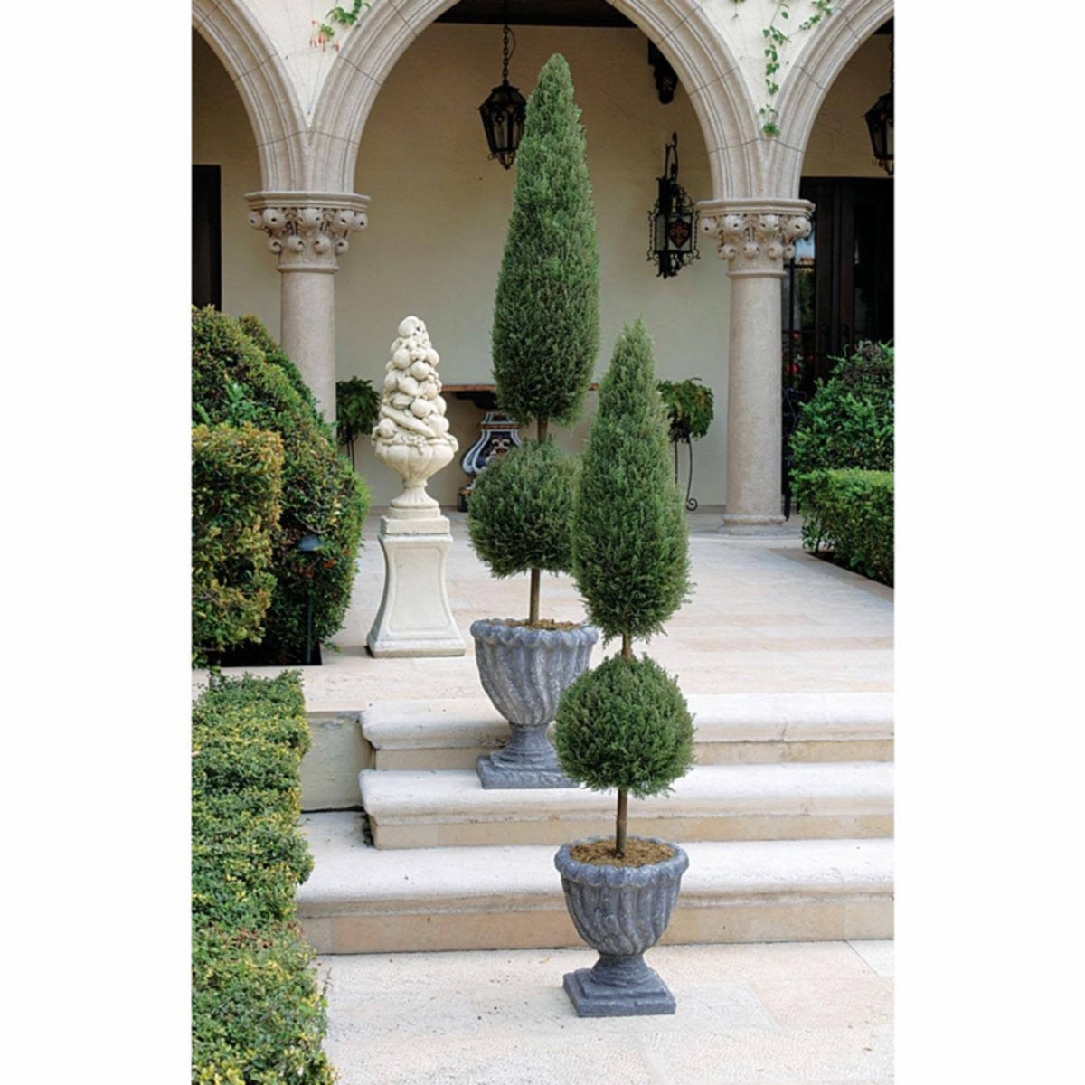 Topiary Tree Collection W481197