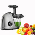 Cold Press Slow Juicer with 2-Speed Modes (Grey) R38363