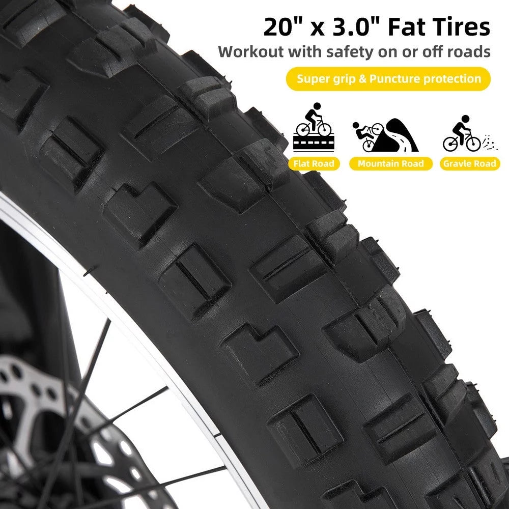 20 Inch 7 Speed Disc Brakes Fat Tire Kids Mountain Bike T48386