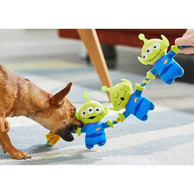 Plush Squeaky Dog Toy R987696