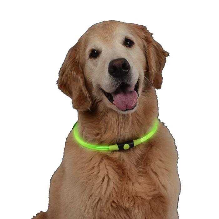 LED Safety Necklace E220