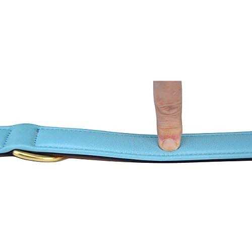 Leather Padded Dog Collar B498473