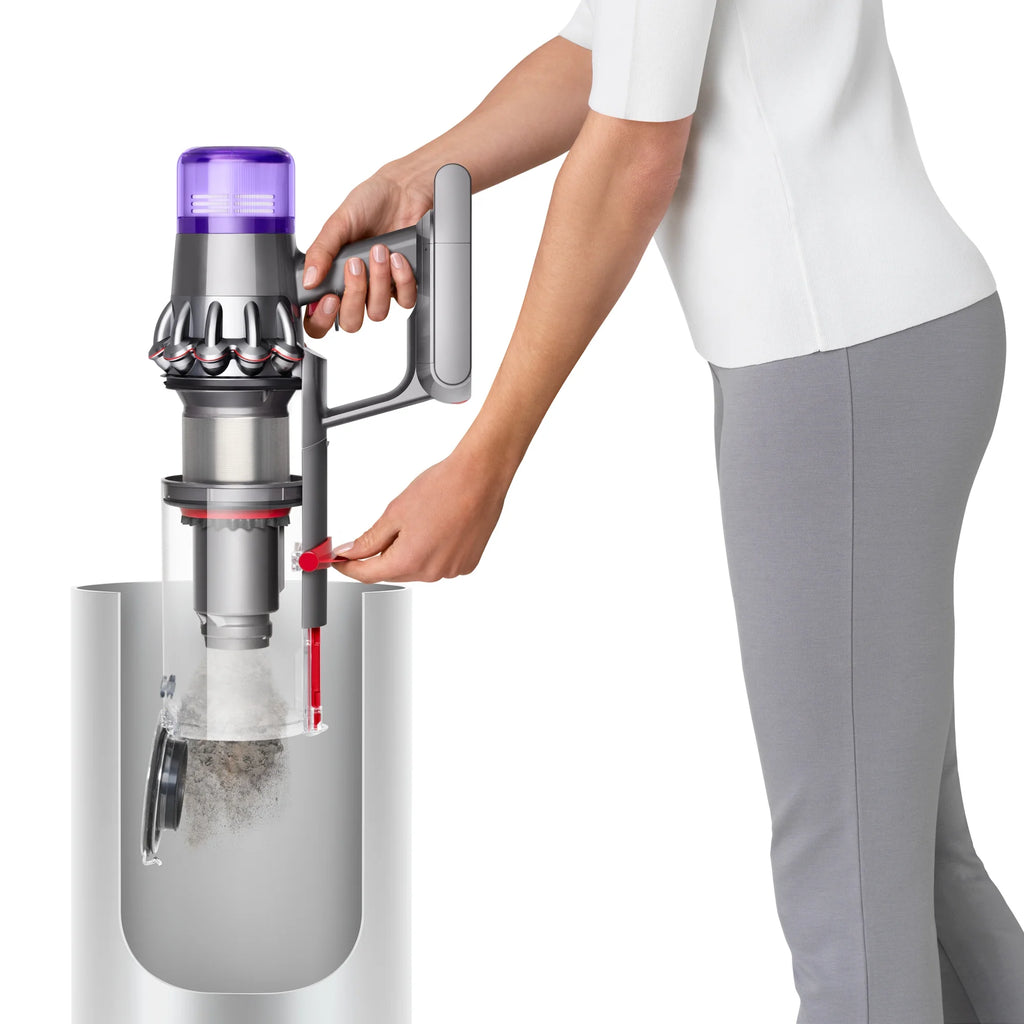 Cordless Vacuum Cleaner P58815