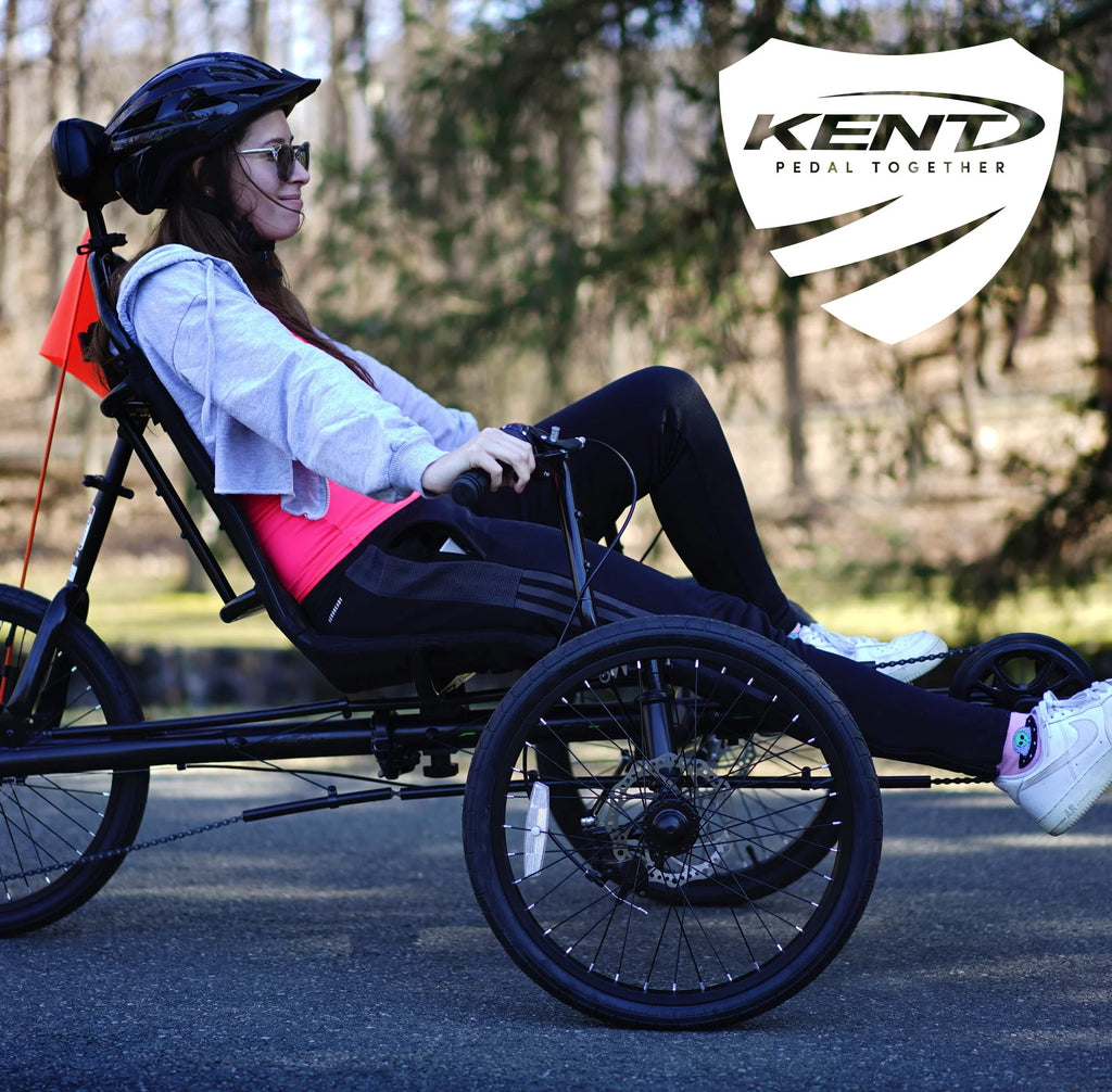 Black 3-Wheel Recumbent Bike F865