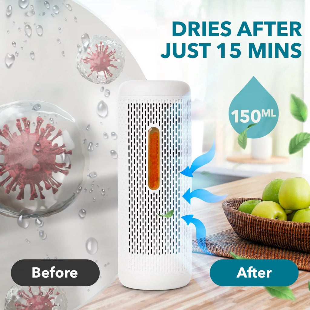 Dehumidifier for Bedroom Home Closet Office P1132